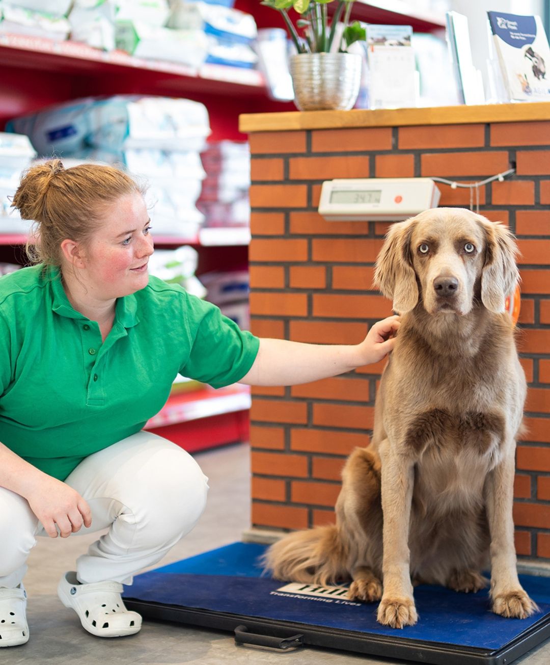 Effizienter und günstiger einkaufen